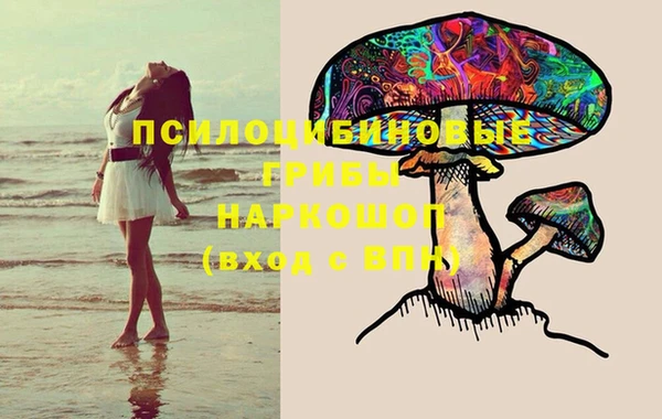 ГАЛЛЮЦИНОГЕННЫЕ ГРИБЫ Краснотурьинск