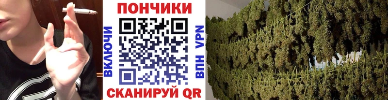 Бошки Шишки LSD WEED  Купить  Карабаш 